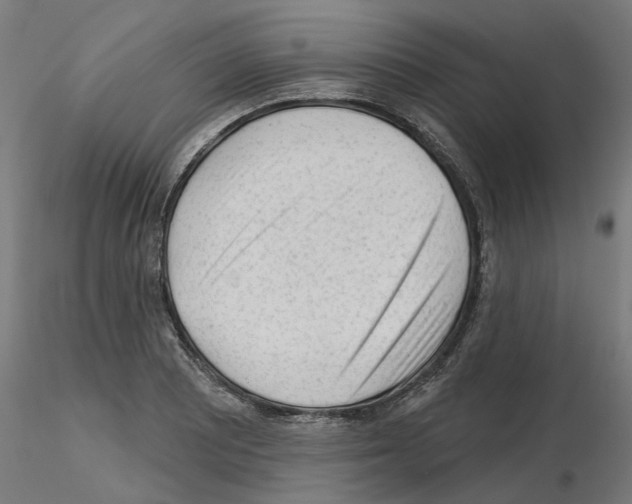 X0000115551081200912181547