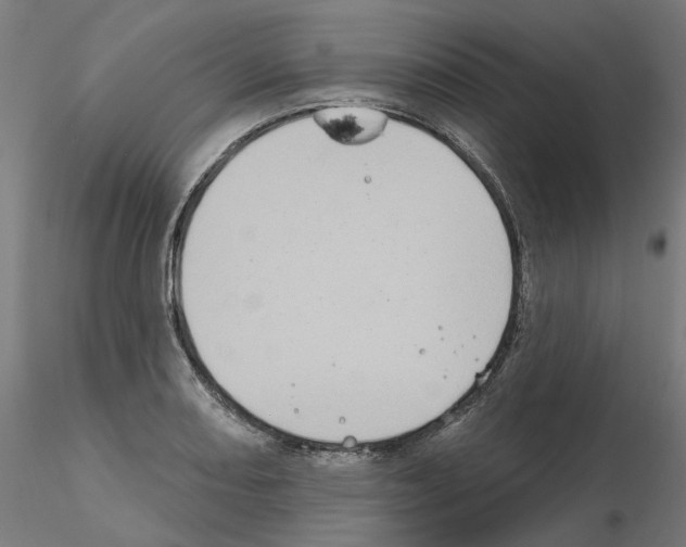 X0000115551082200912181547