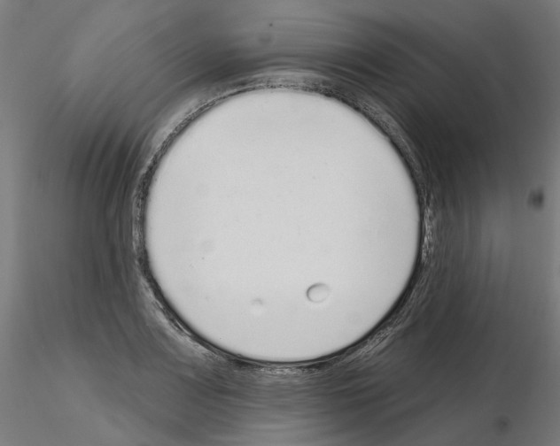 X0000115551083200912181547