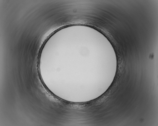 X0000115551086200912181547