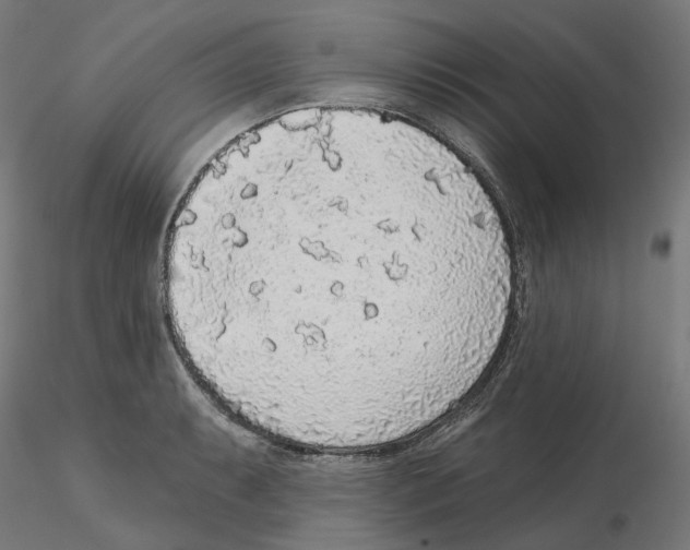 X0000115551087200912181547