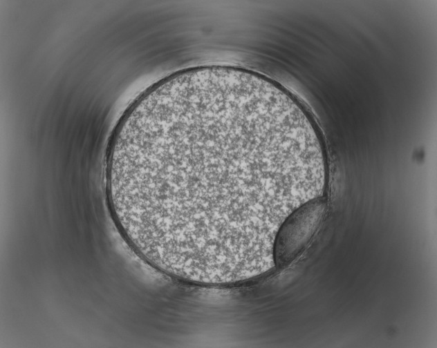 X0000115551088200912181547