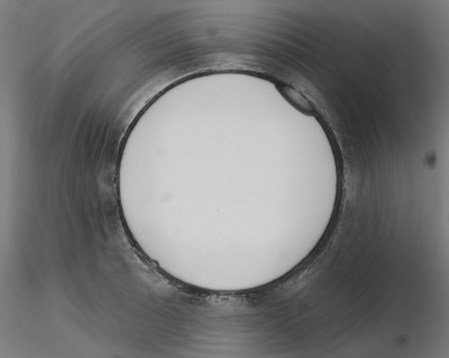 X0000115551089200912181547