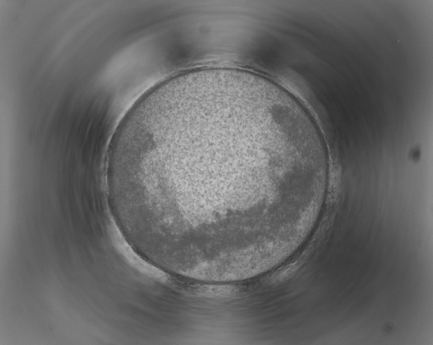 X0000115551090200912181547