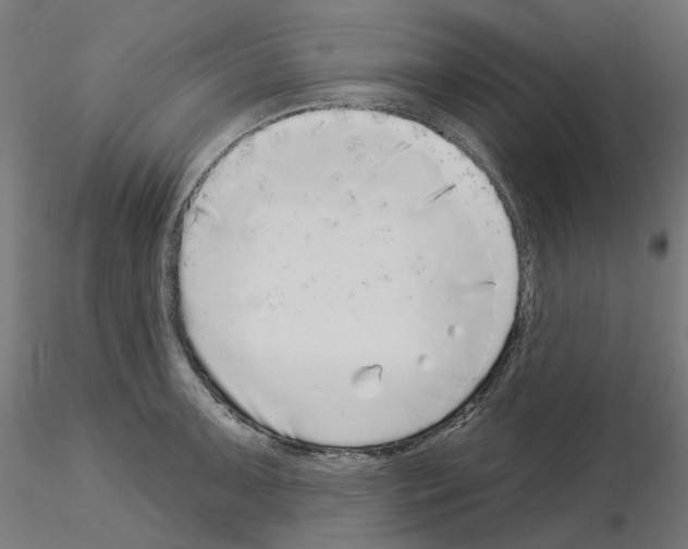 X0000115551091200912181547