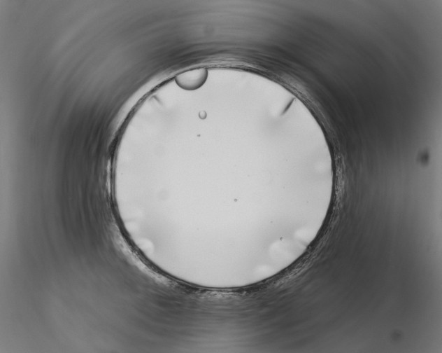 X0000115551092200912181547