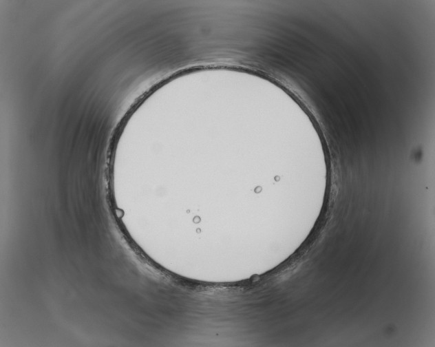 X0000115551093200912181547