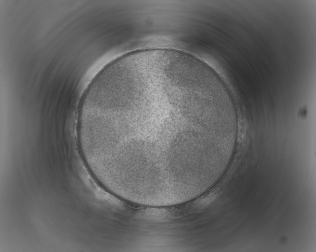 X0000115551094200912181547