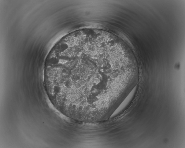 X0000115551095200912181547