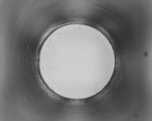 X0000115551099200912181547