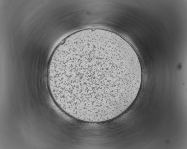 X0000115551100200912181547