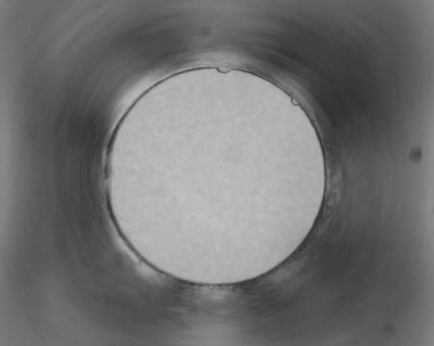 X0000115551103200912181547