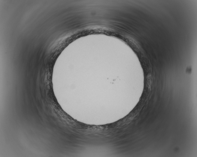 X0000115551111200912181546