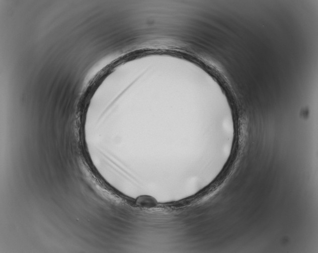 X0000115551114200912181546