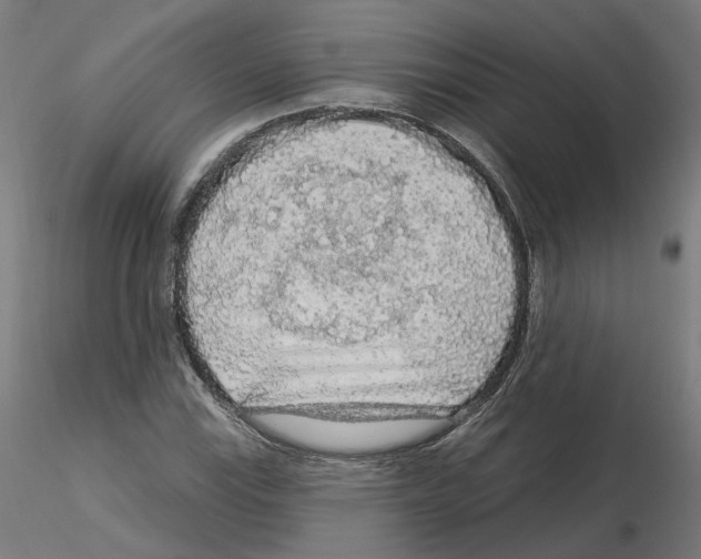 X0000115551115200912181546