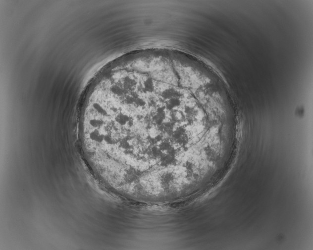 X0000115551117200912181546