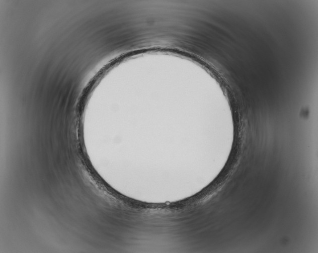 X0000115551118200912181546