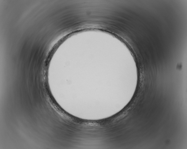 X0000115551119200912181546