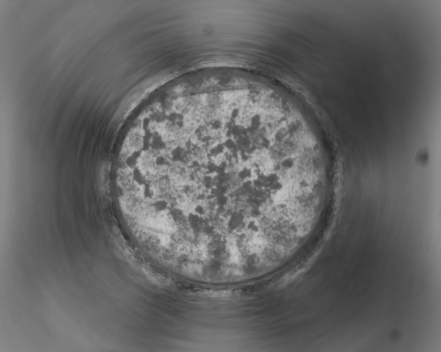 X0000115551121200912181546