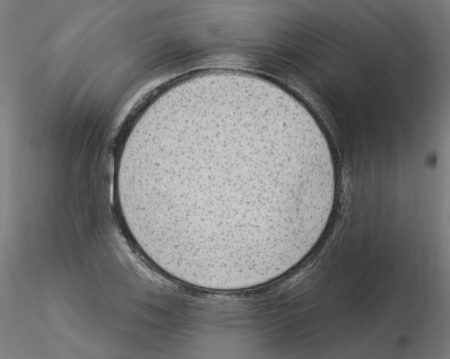 X0000115551123200912181546