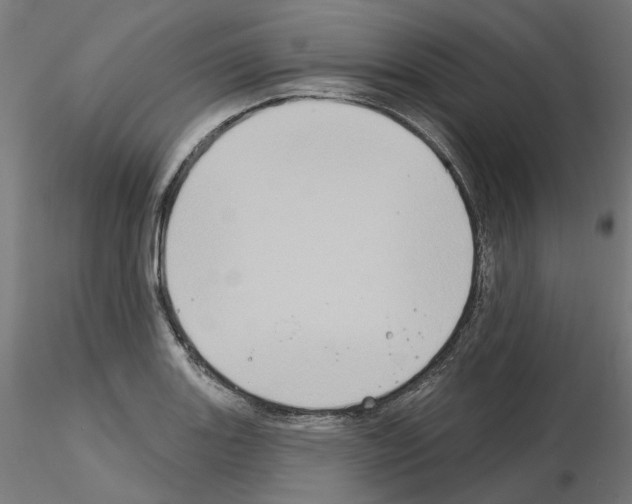 X0000115551131200912181547