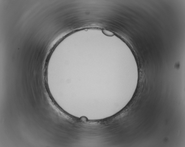 X0000115551135200912181547