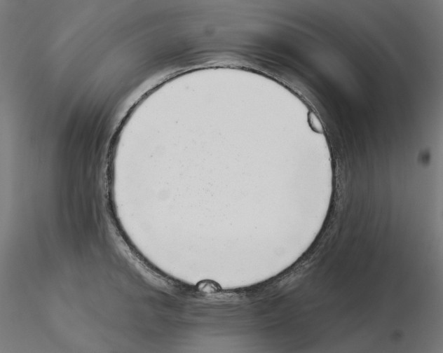 X0000115551142200912181547