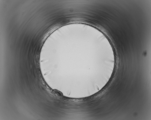 X0000115551145200912181547