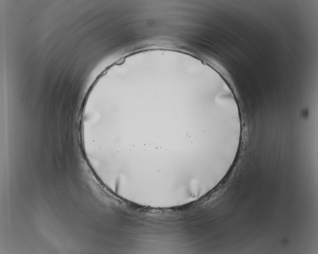 X0000115551146200912181547