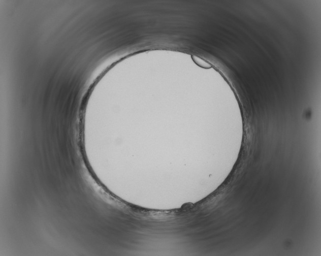 X0000115551147200912181547