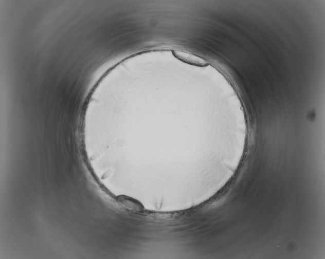 X0000115551149200912181547