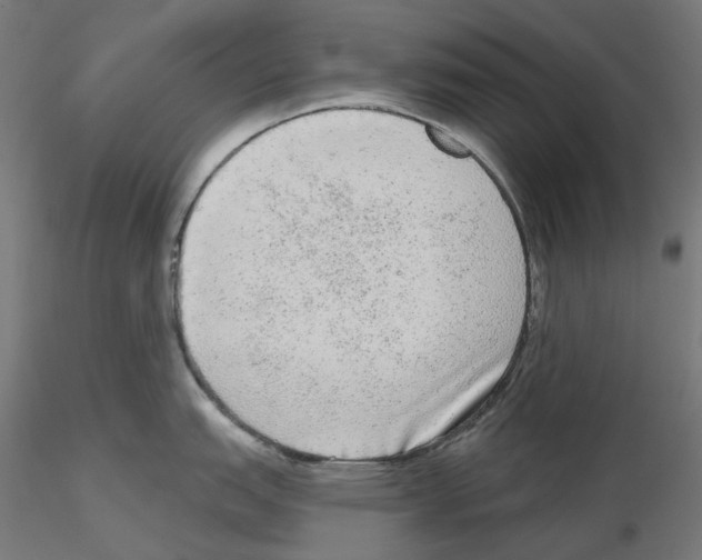 X0000115551151200912181547