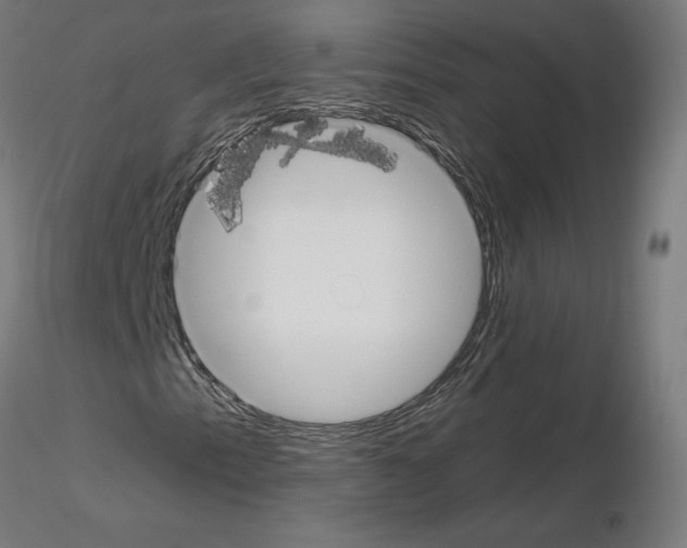 X0000115551153200912181546