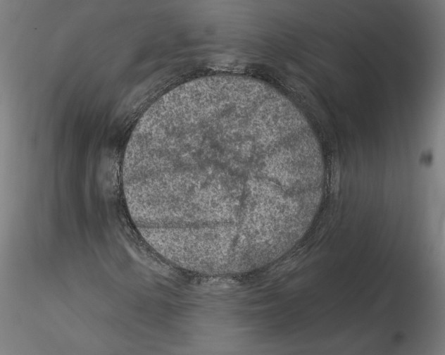 X0000115551154200912181546