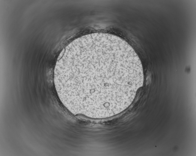 X0000115551156200912181546