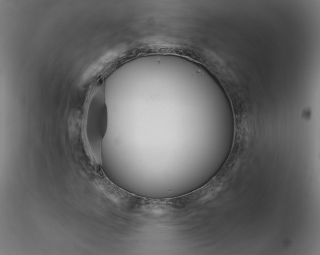 X0000115551157200912181546