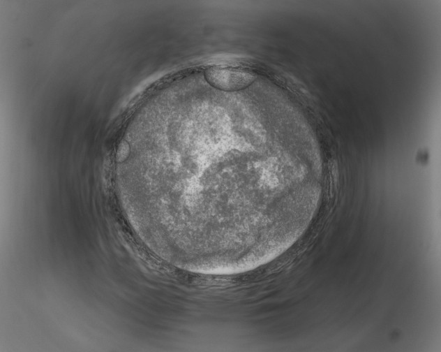 X0000115551158200912181546