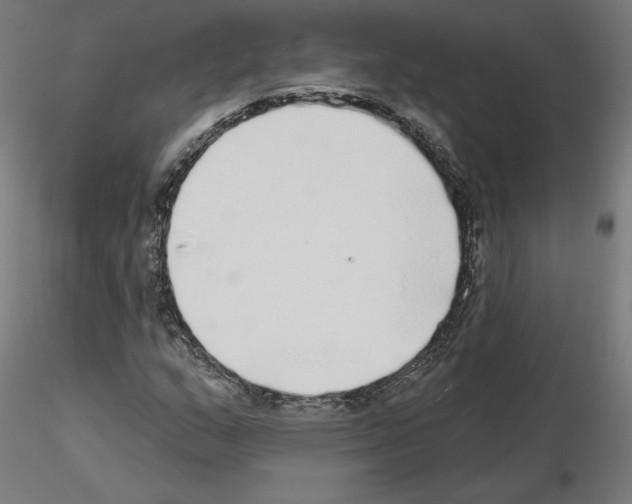 X0000115551159200912181546