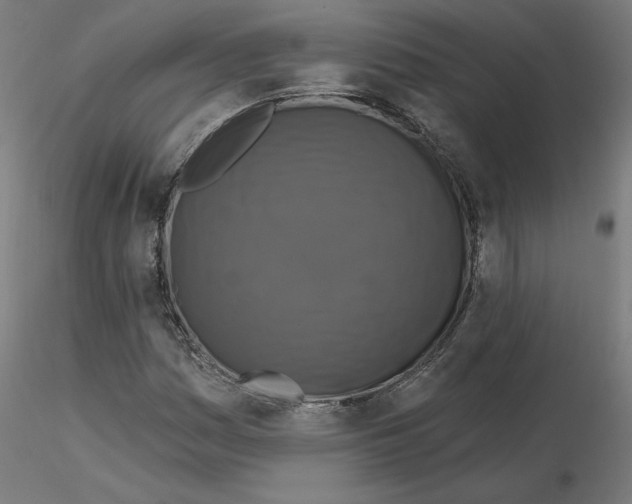 X0000115551161200912181546