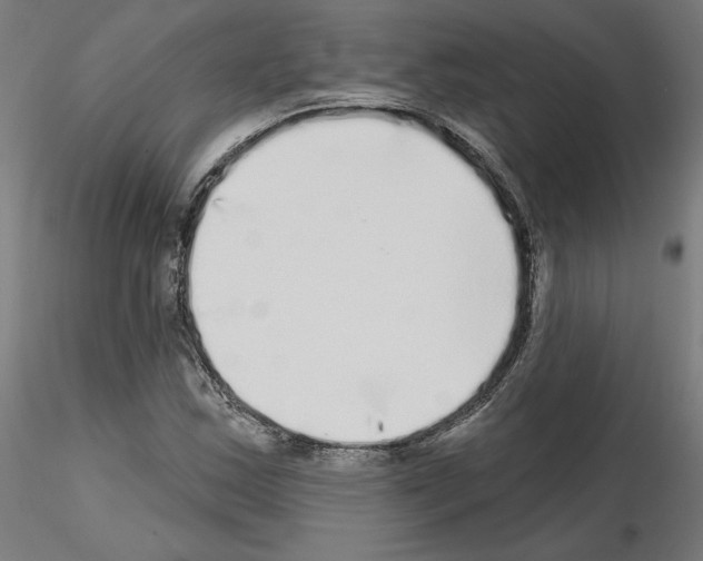 X0000115551163200912181546