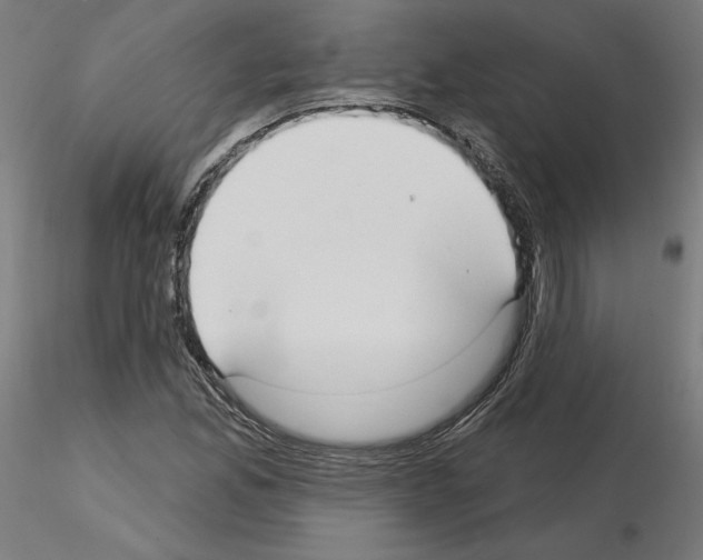 X0000115551165200912181546