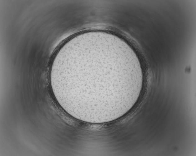 X0000115551166200912181546