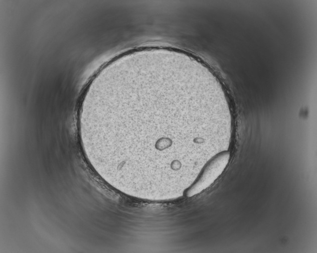 X0000115551167200912181546