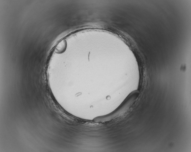 X0000115551168200912181546