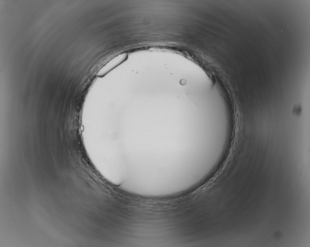 X0000115551169200912181546