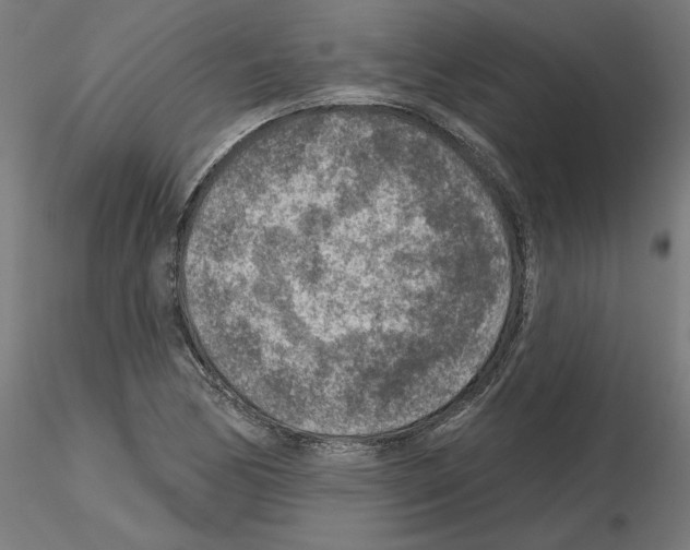 X0000115551170200912181546