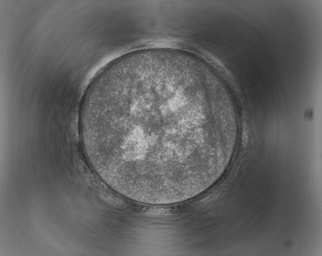 X0000115551174200912181546