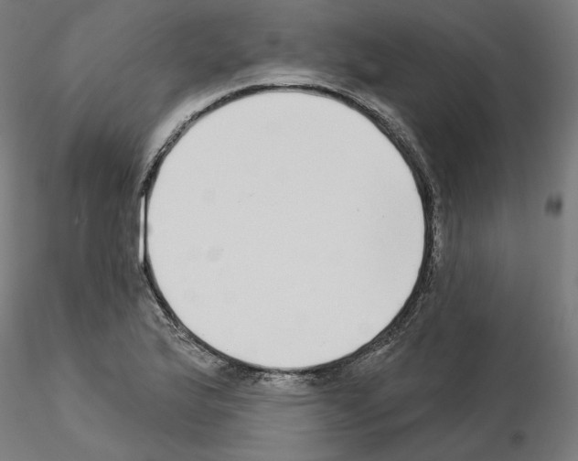 X0000115551175200912181546