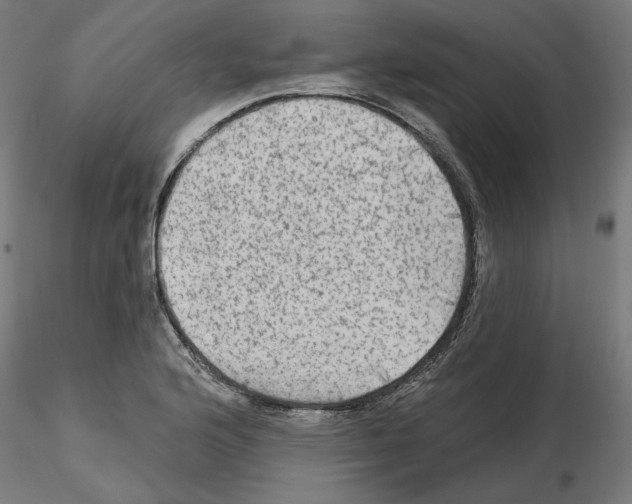 X0000115551176200912181546