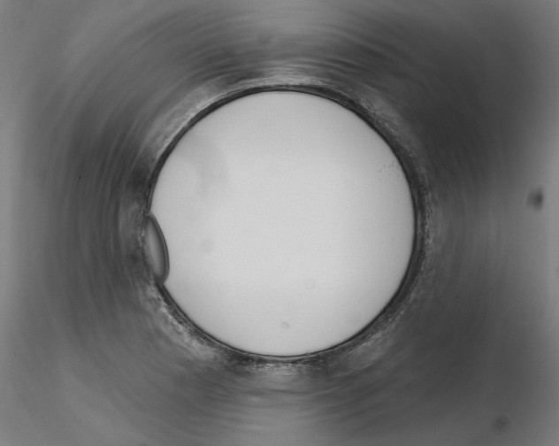 X0000115551177200912181546